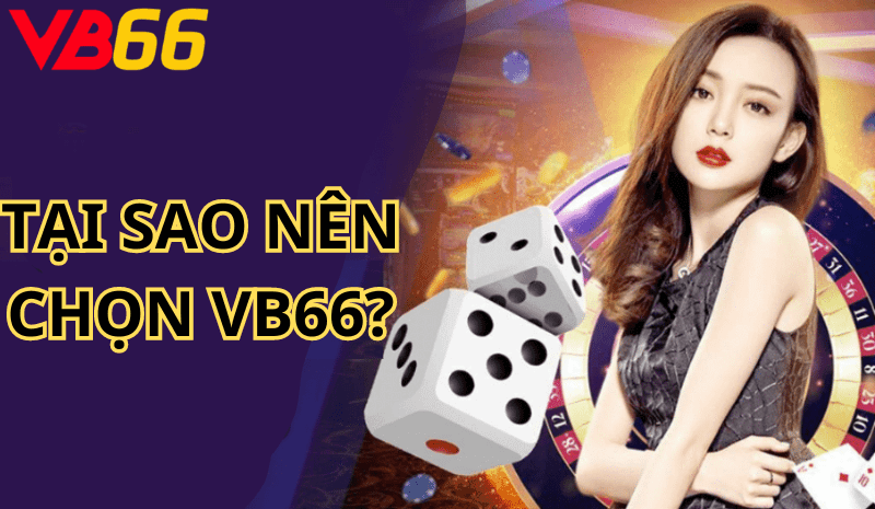 Tại sao nên chọn VB66?