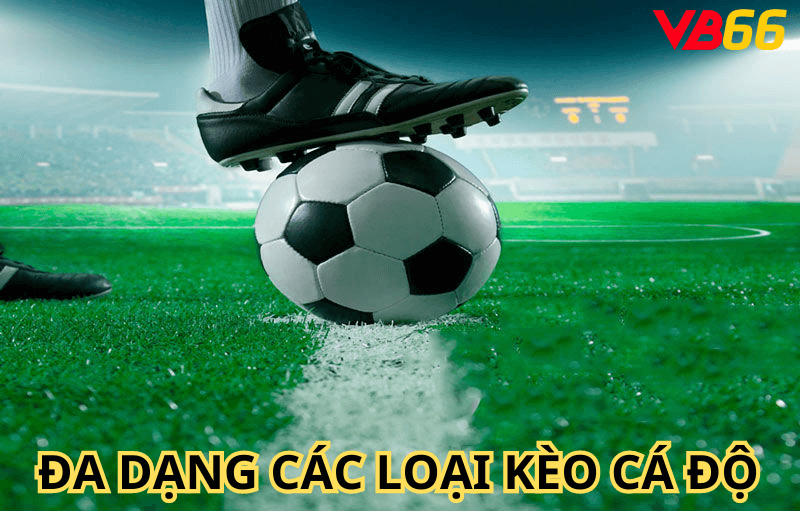 Đa dạng các loại cá độ